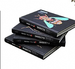 Hardcover food picture book